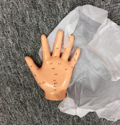 Hand Acupuncture Model